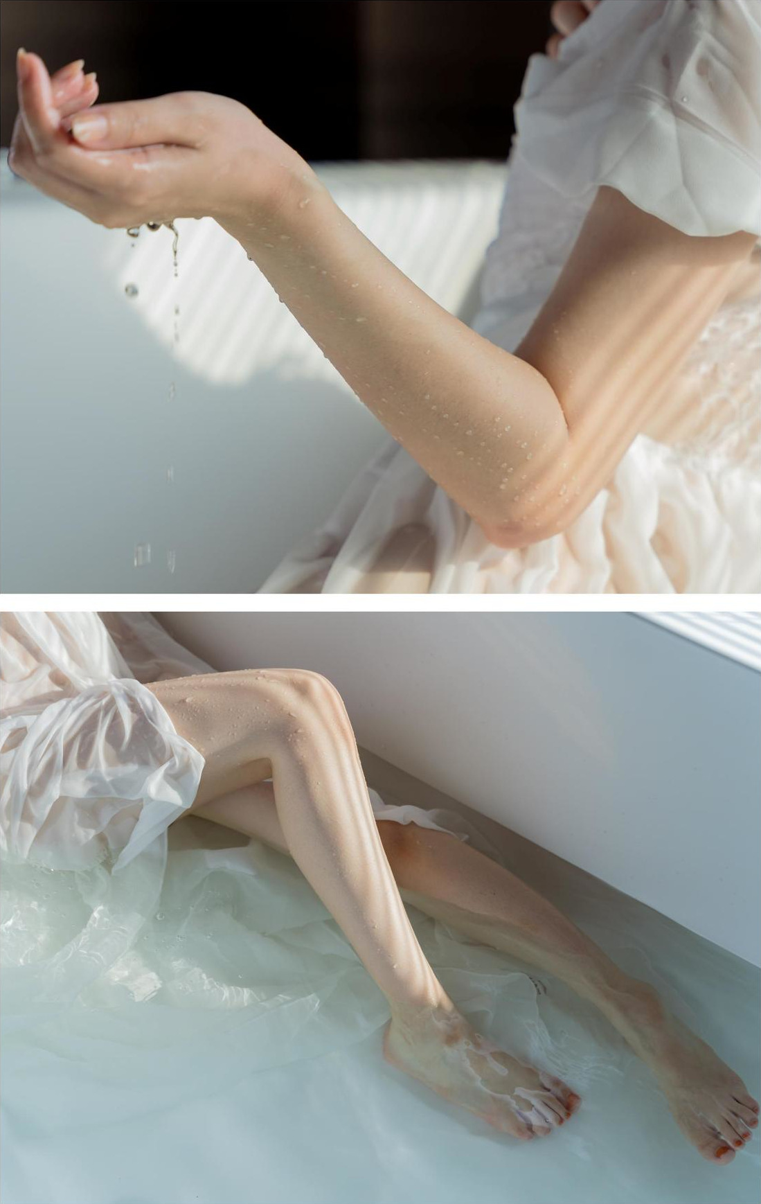 Mitsuki Goronzoku ã´ã­ã³æç¾æ, ãã§ãã°ã©ãã¢åçé ãTranslucentã Set.01 No.e75610